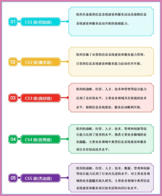 CS資質級別、概念及辦理要求——信息技術咨詢服務詳解