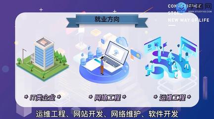 網(wǎng)絡(luò)工程專業(yè) 深入解析計算機(jī)軟件開發(fā)與運(yùn)維服務(wù)